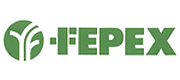 feppex-logo feppex-logo
